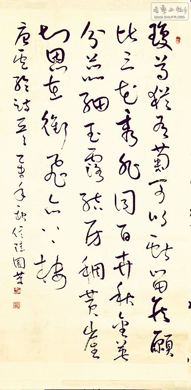 DSCF7005.jpg