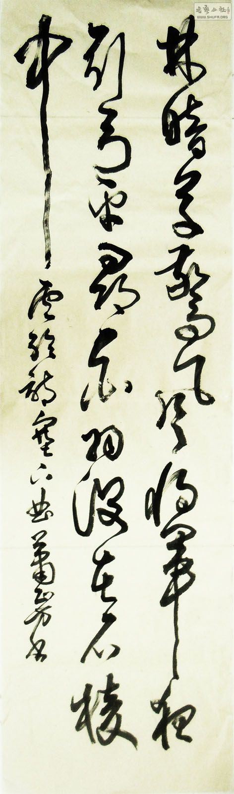 19473aa.jpg
