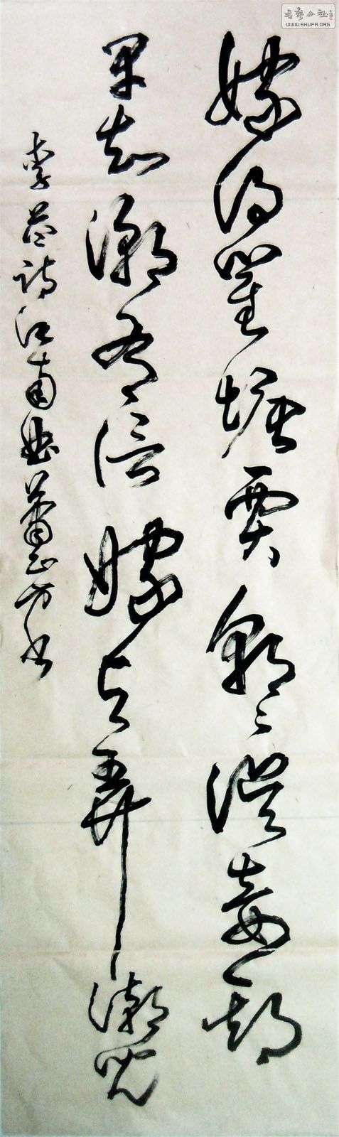 19533aa.jpg