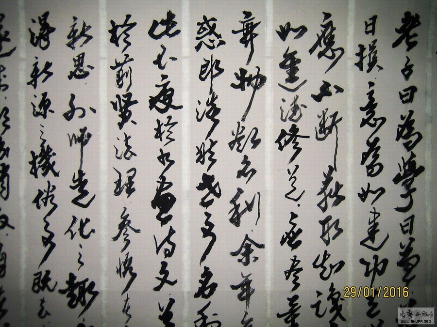 ɽ鷨-պ޵4-2016.1.29.JPG