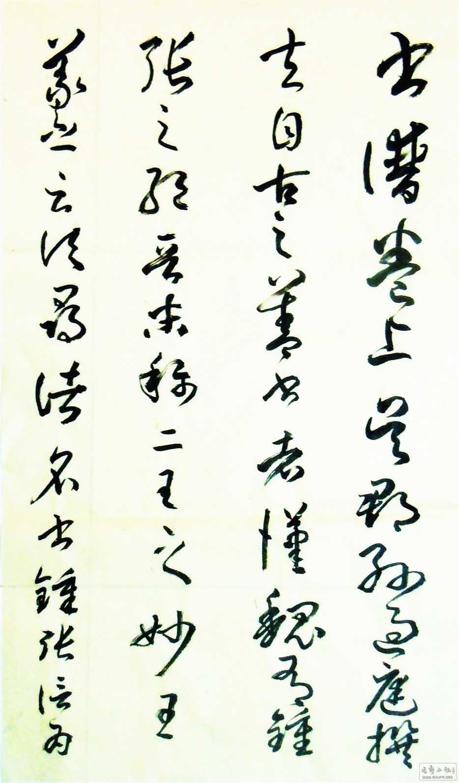 19534a.jpg