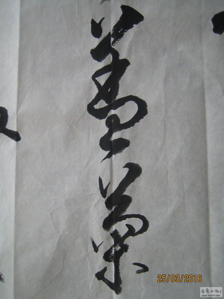 ɽ鷨-ɾǣ2016.32.JPG