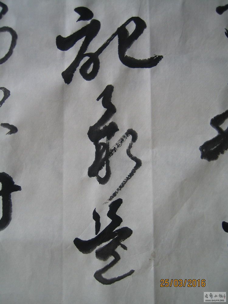 ɽ鷨-ɾǣ2016.33.JPG