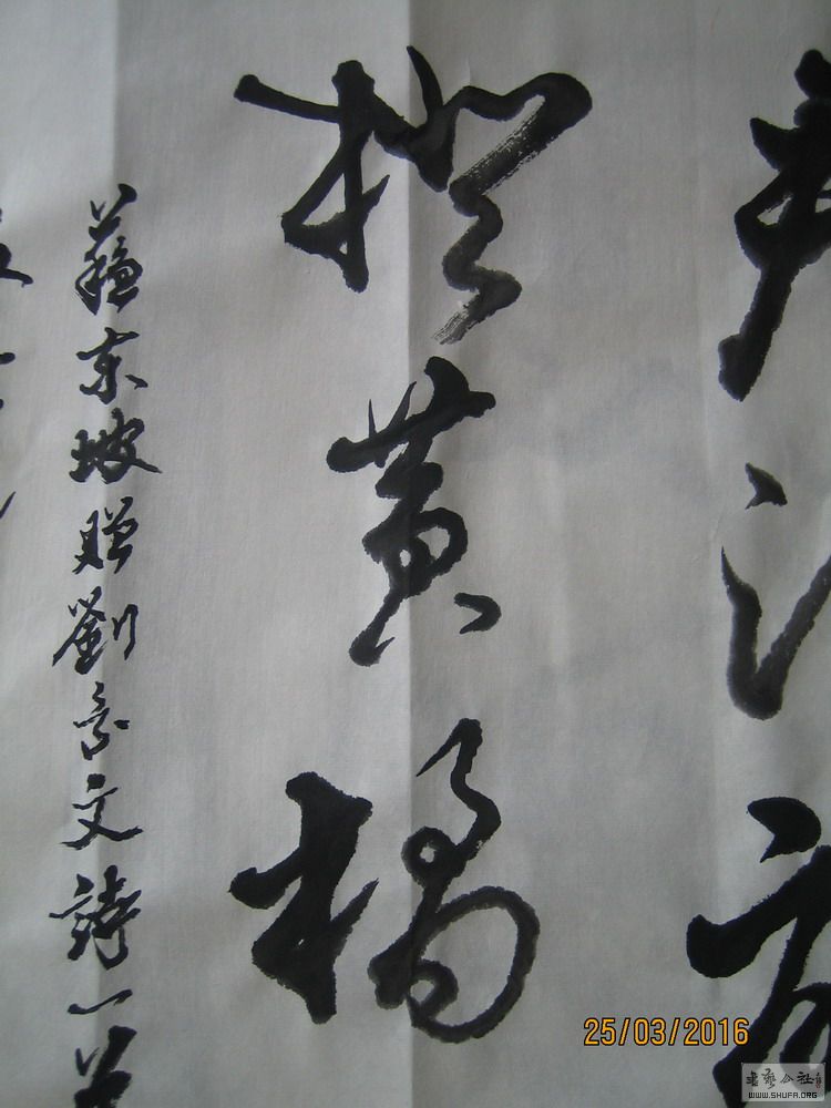 ɽ鷨-ɾǣ2016.34.JPG
