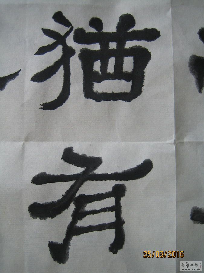 ɽ鷨-ɾǣ2016.3.253.JPG