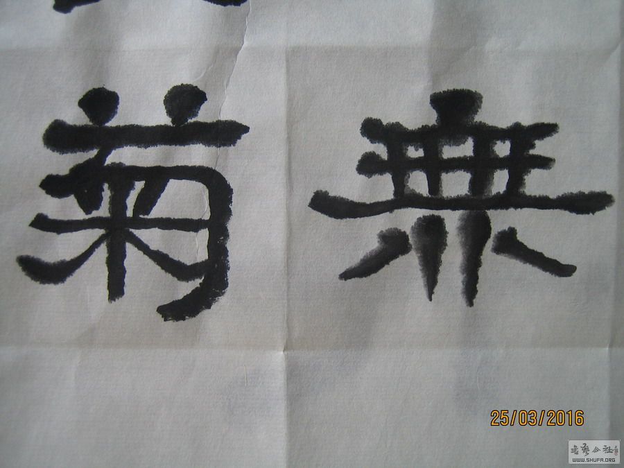 ɽ鷨-ɾǣ2016.3.254.JPG
