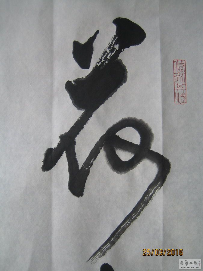 ɽ鷨-ɾ.JPG