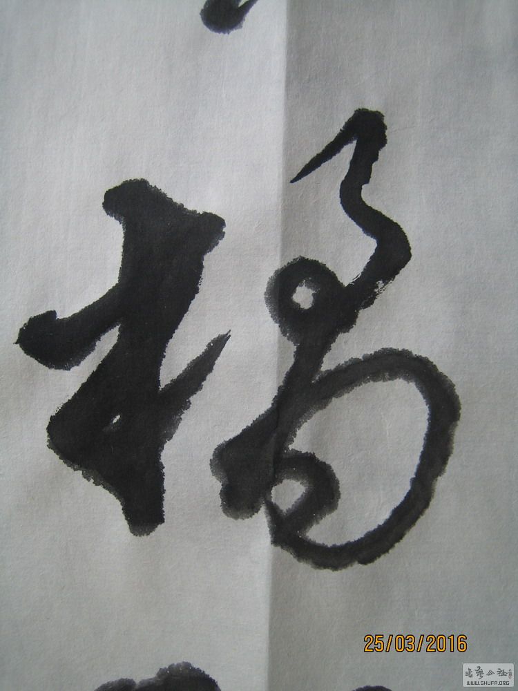 ɽ鷨-ɾǣ2016.35.JPG