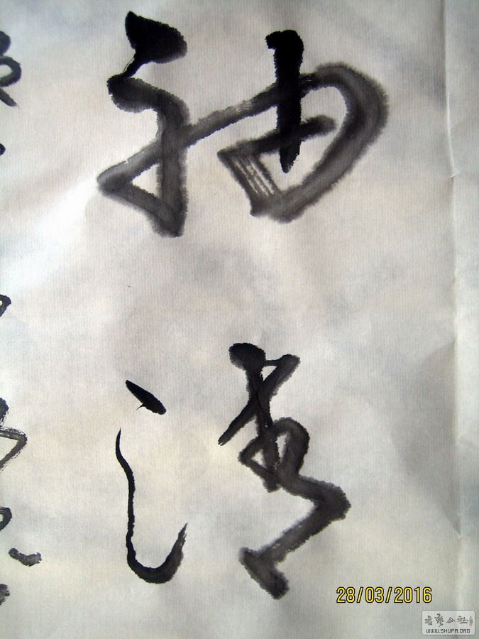ɽ鷨-һӲ-2016.3.283.JPG