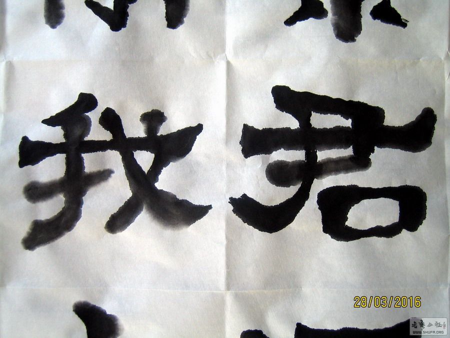 ɽ鷨-þ-2016.3.283.JPG