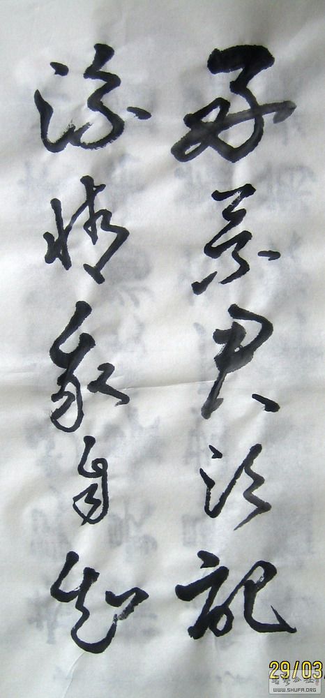 ɽ鷨-þ-2016.3.281-1.JPG