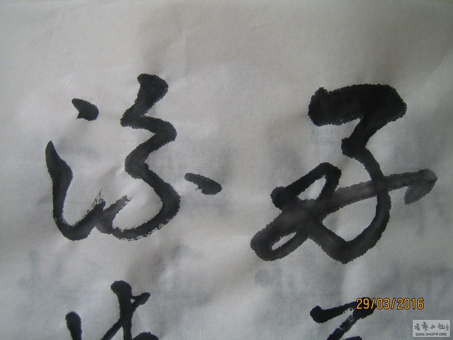 ɽ鷨-þ-2016.3.286.JPG