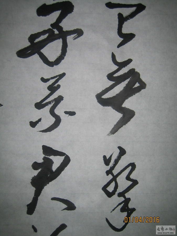 ɽ鷨-ɾ-2016.4.13.JPG