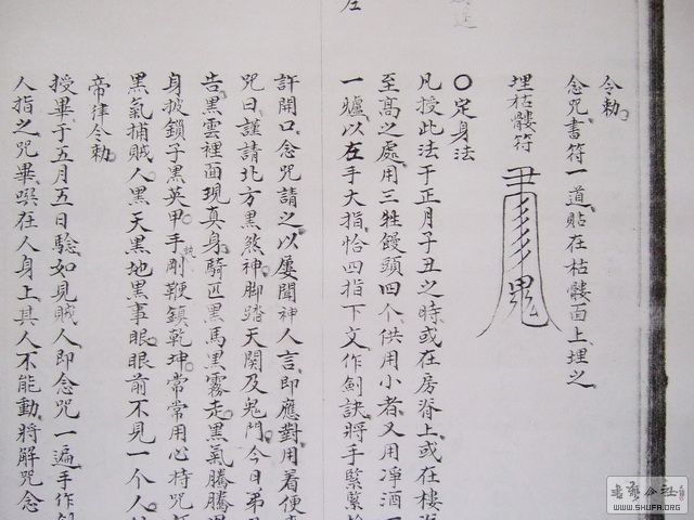 097.JPG