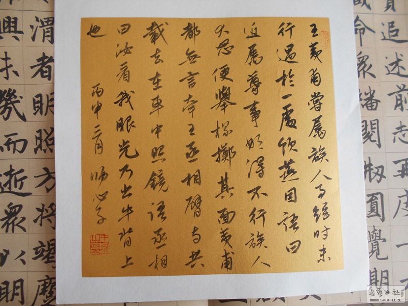 DSCN0032.jpg