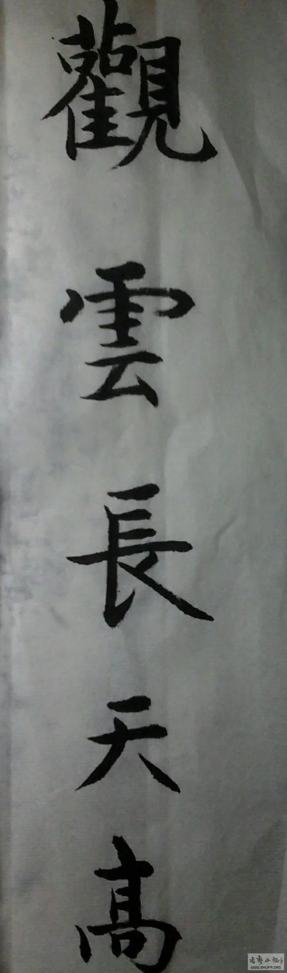 psb (9).jpg