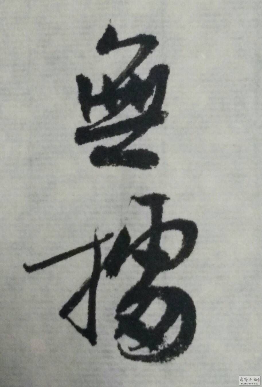 183242kjx4segs5fs516n6.jpg