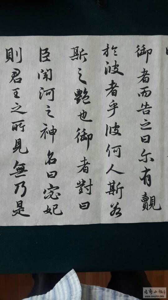 095314s0zva0780dznpvvn.jpg