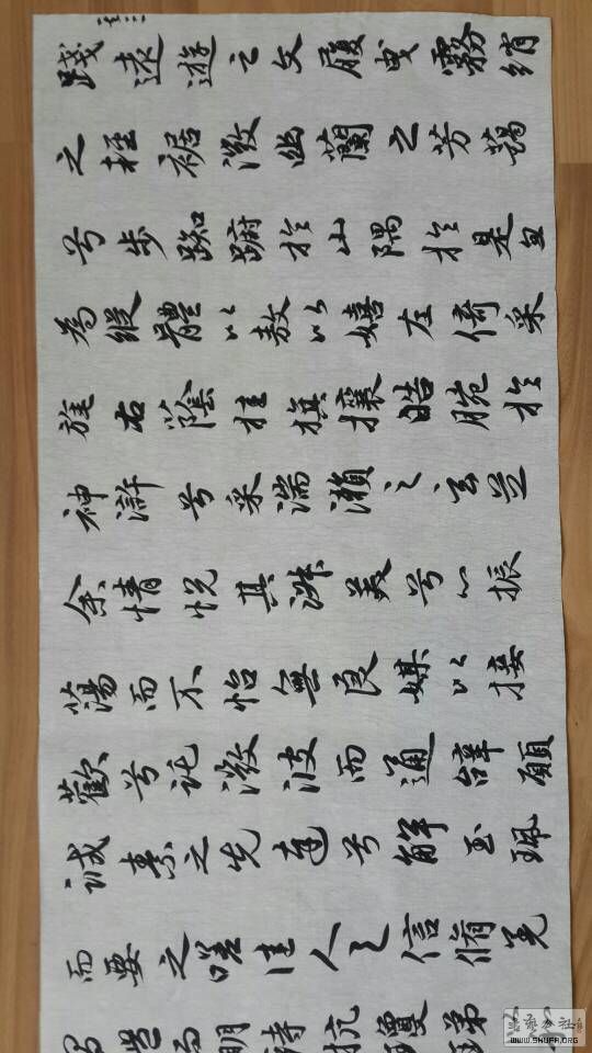 171045qss48px181npn8xy.jpg