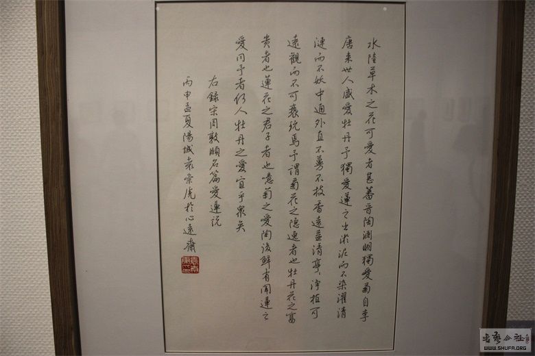 81.jpg