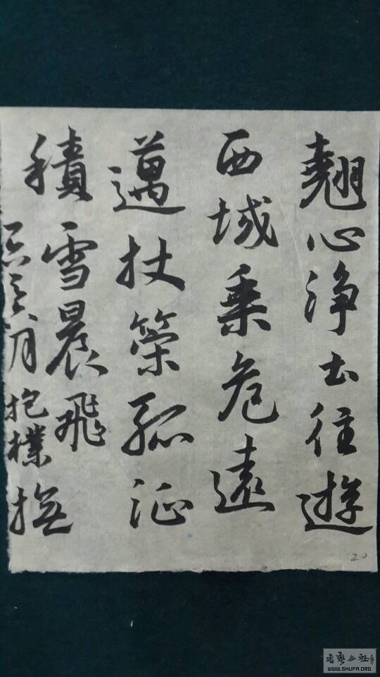 192723ojbw6amzuw1fmsvb.jpg
