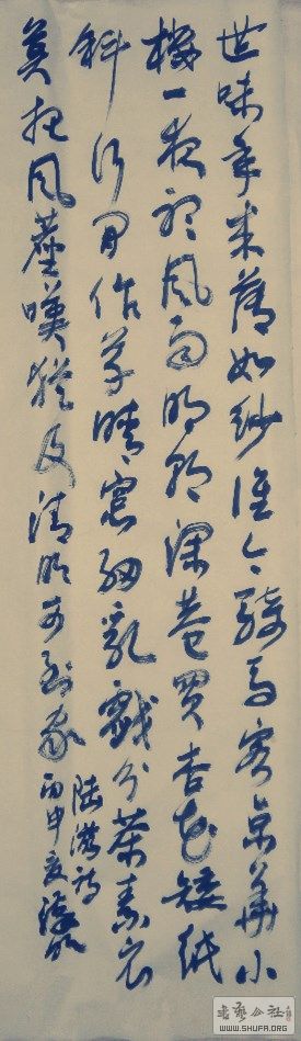 SAM_1919_3.jpg