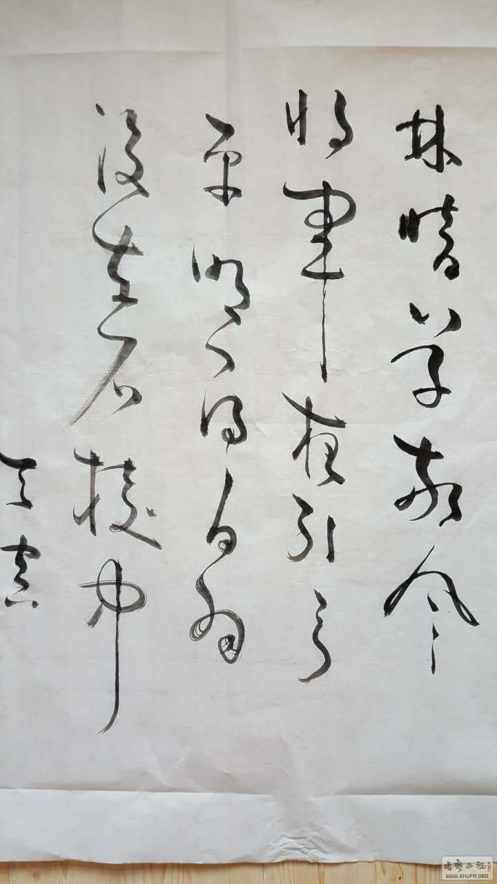 415593543659169123.jpg