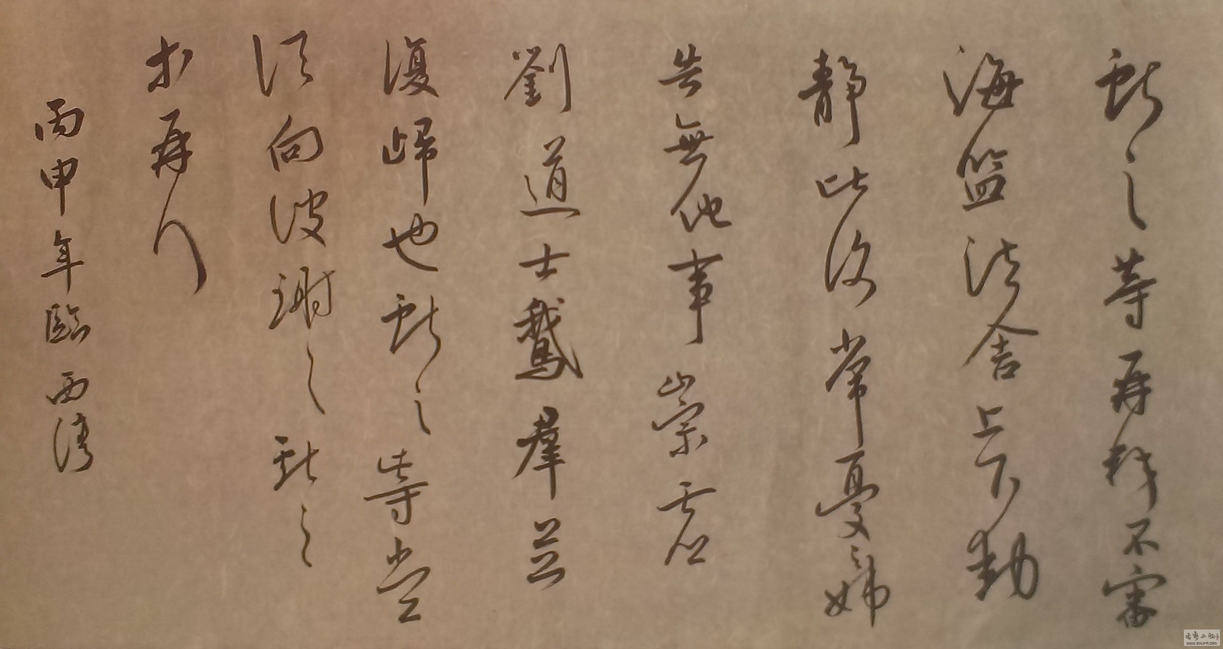 IMAG0742.jpg