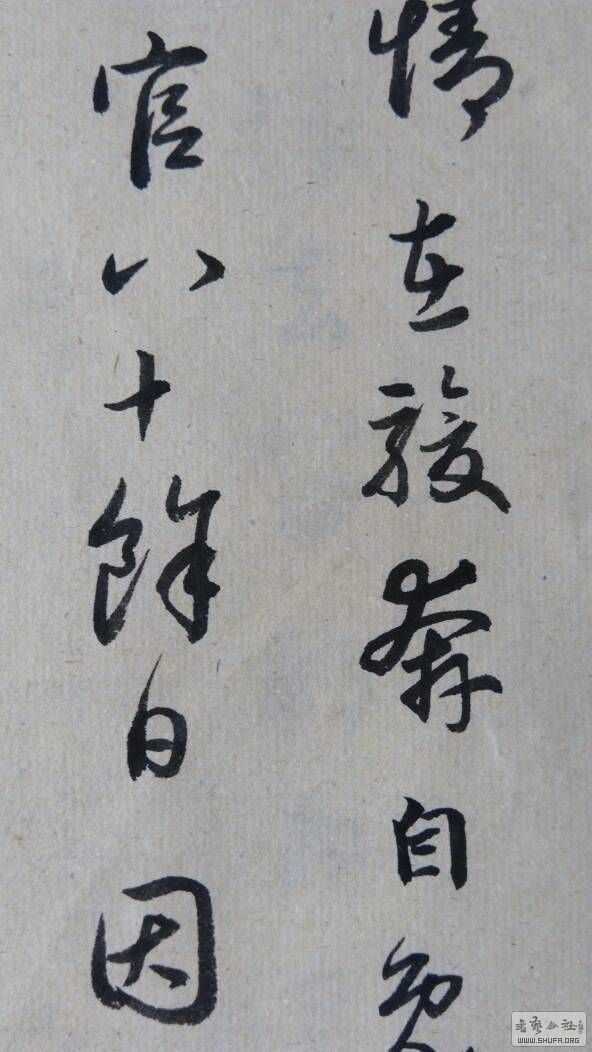 125921vrpu4zmbvq1yghdl.jpg