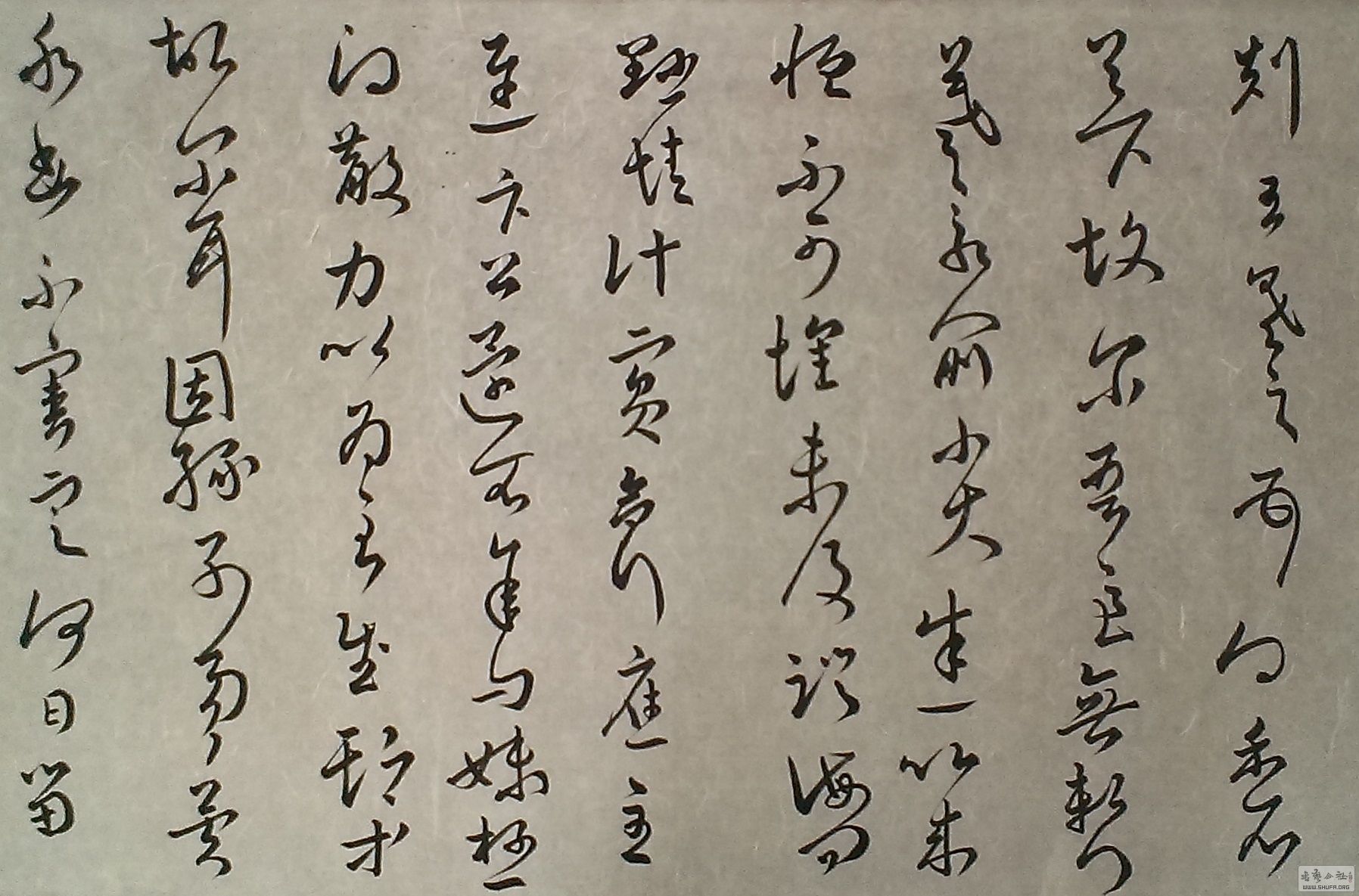 IMAG0421fu.jpg