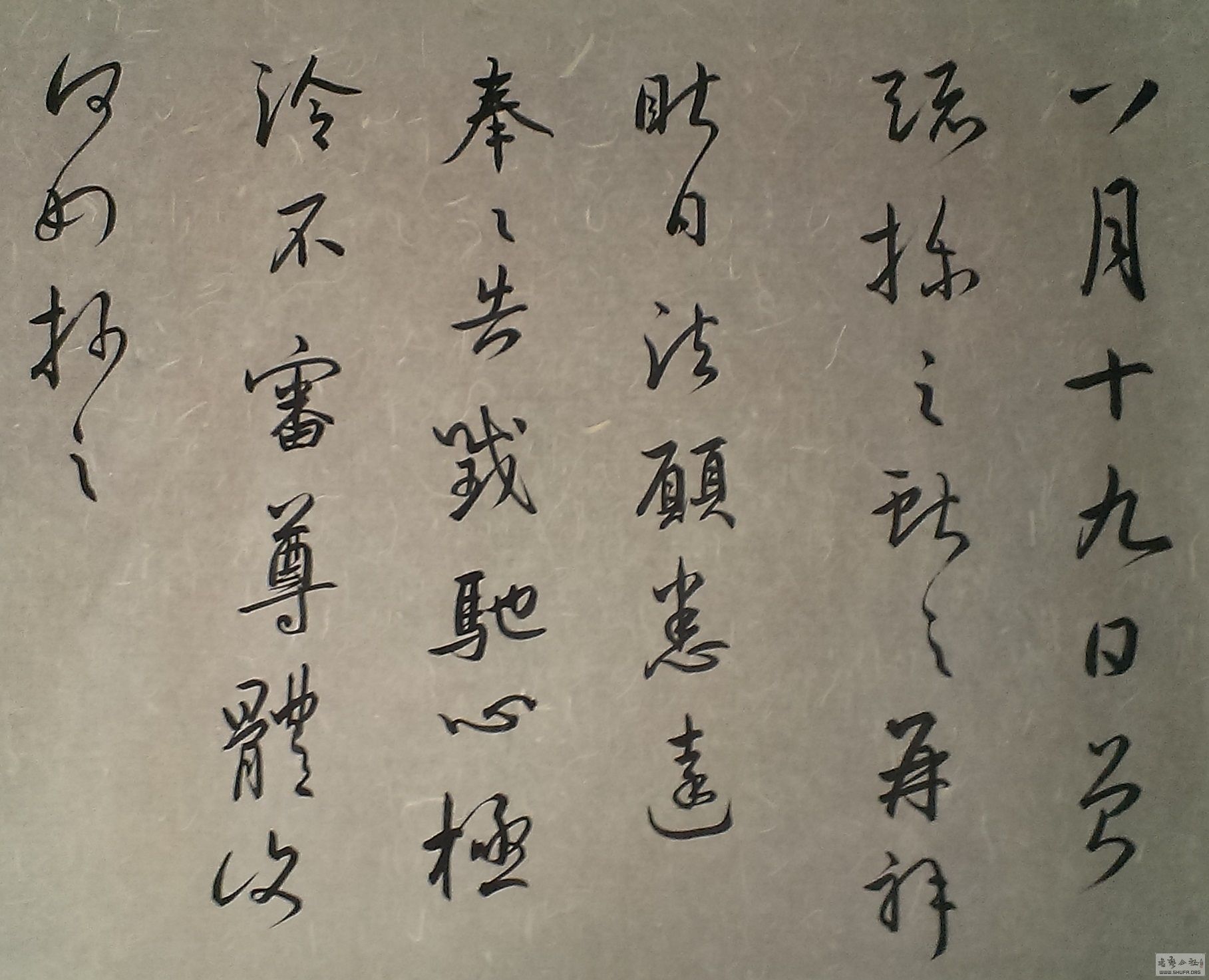 IMAG0786.jpg