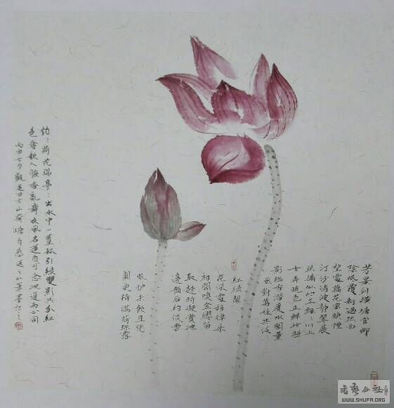 160545v8bqjqzxjbjqsaj7.jpg