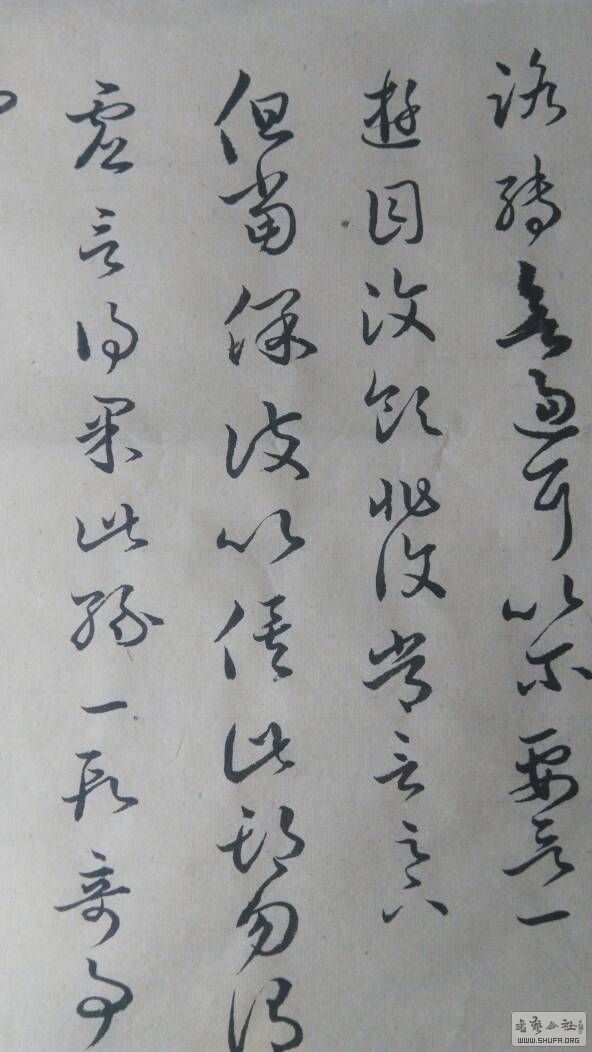 171425dtqp5wo6939ytwb9.jpg