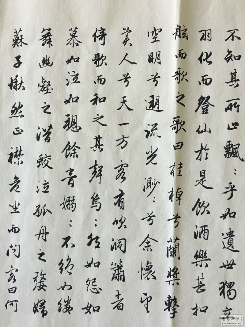 100251alp1c966m89z89rh.jpg