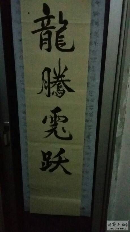 225826fty18aoo733pogok.jpg
