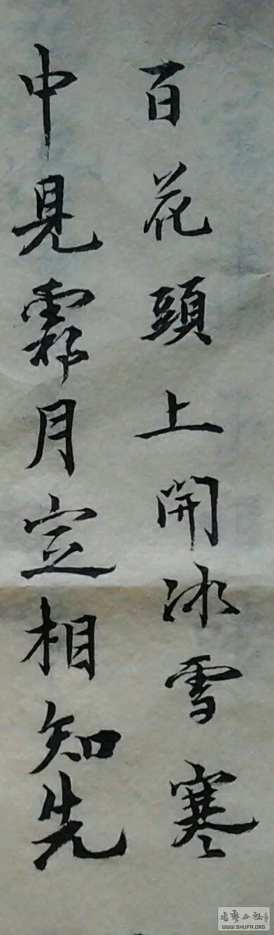 psbCAXJV6YZ.jpg