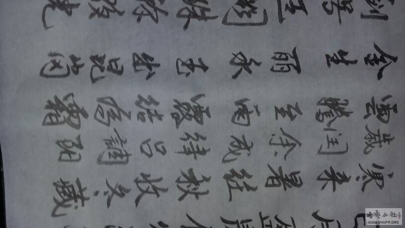 231241phu3npwfhv7x2c7h.jpg