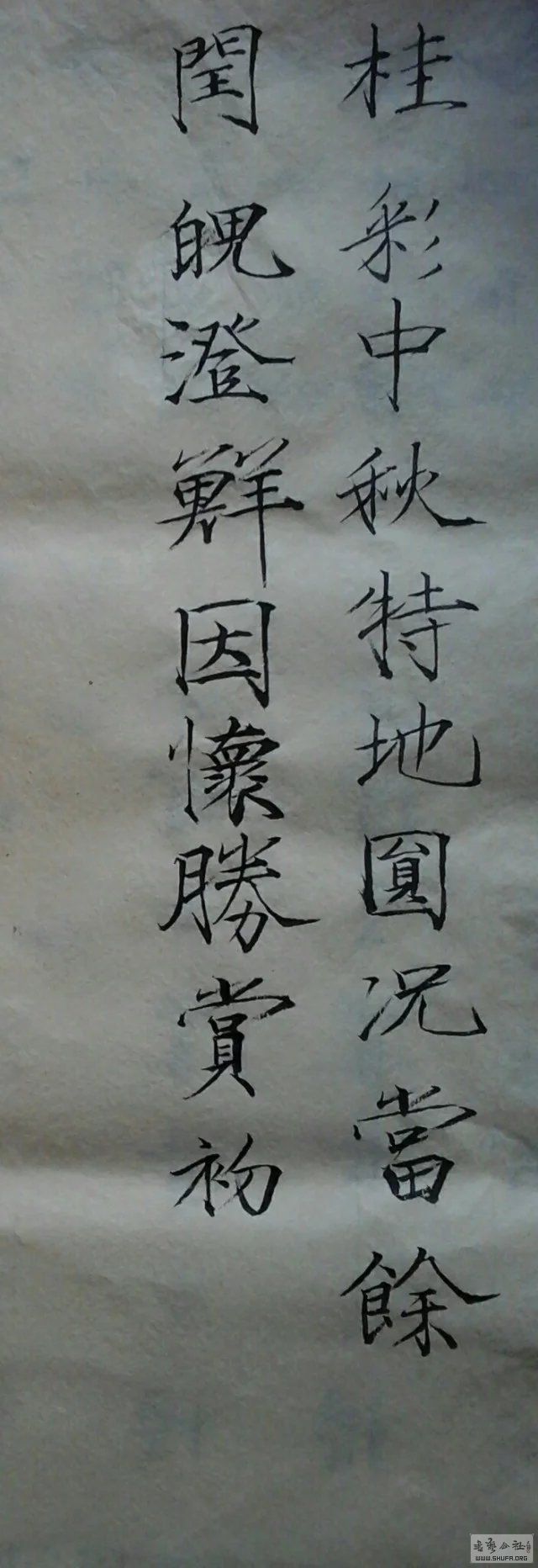 psbCAFUH69P.jpg