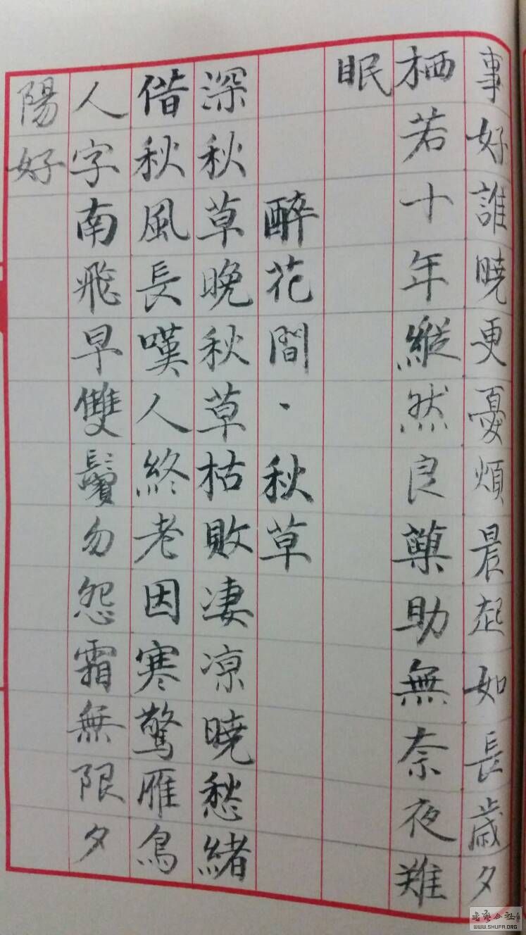 205653ipbc4vn4p4dzfrsi.jpg