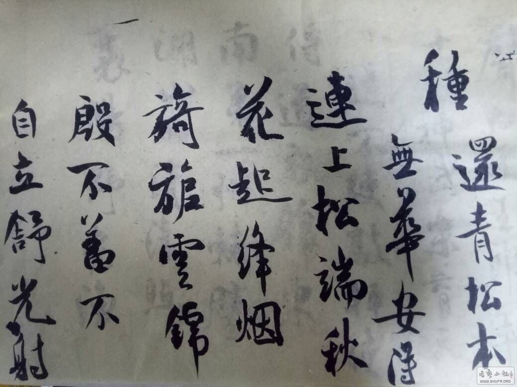 155203s7bbxt667bxha13m.jpg