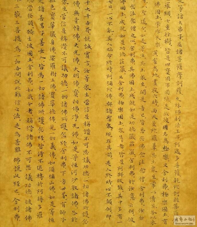 121410jqv8xbuvhqo907qs.jpg