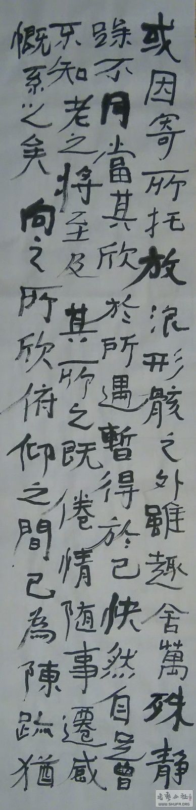 11023.JPG