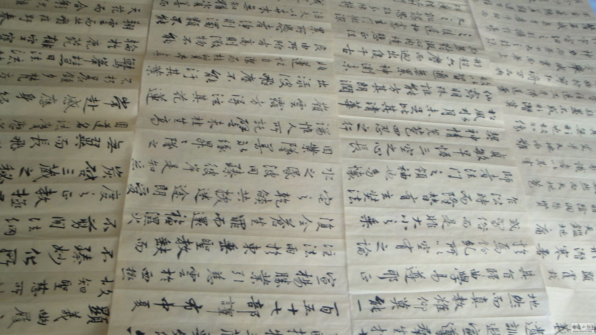 2015-12ʥ05.jpg