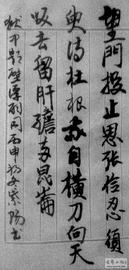 234206zqvexbpgpk9nn98v.JPG