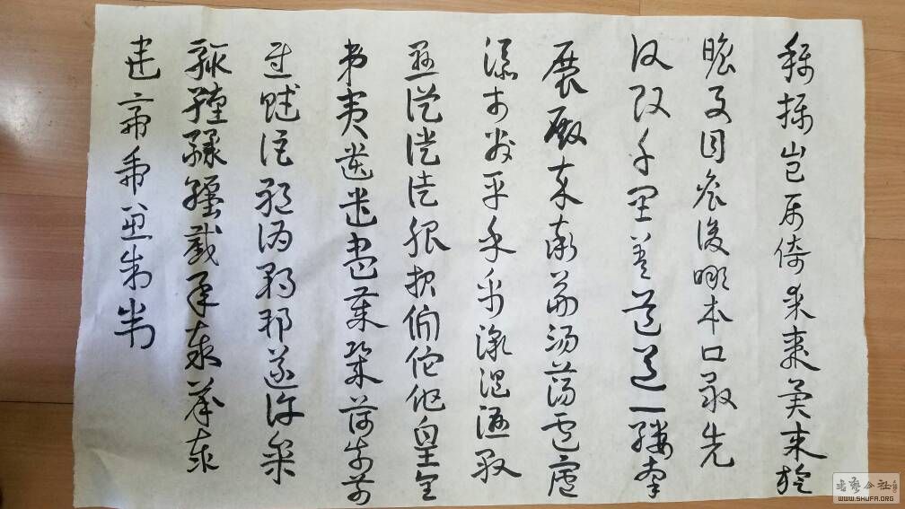 005039zijxrc6zrkxihz1j.jpg