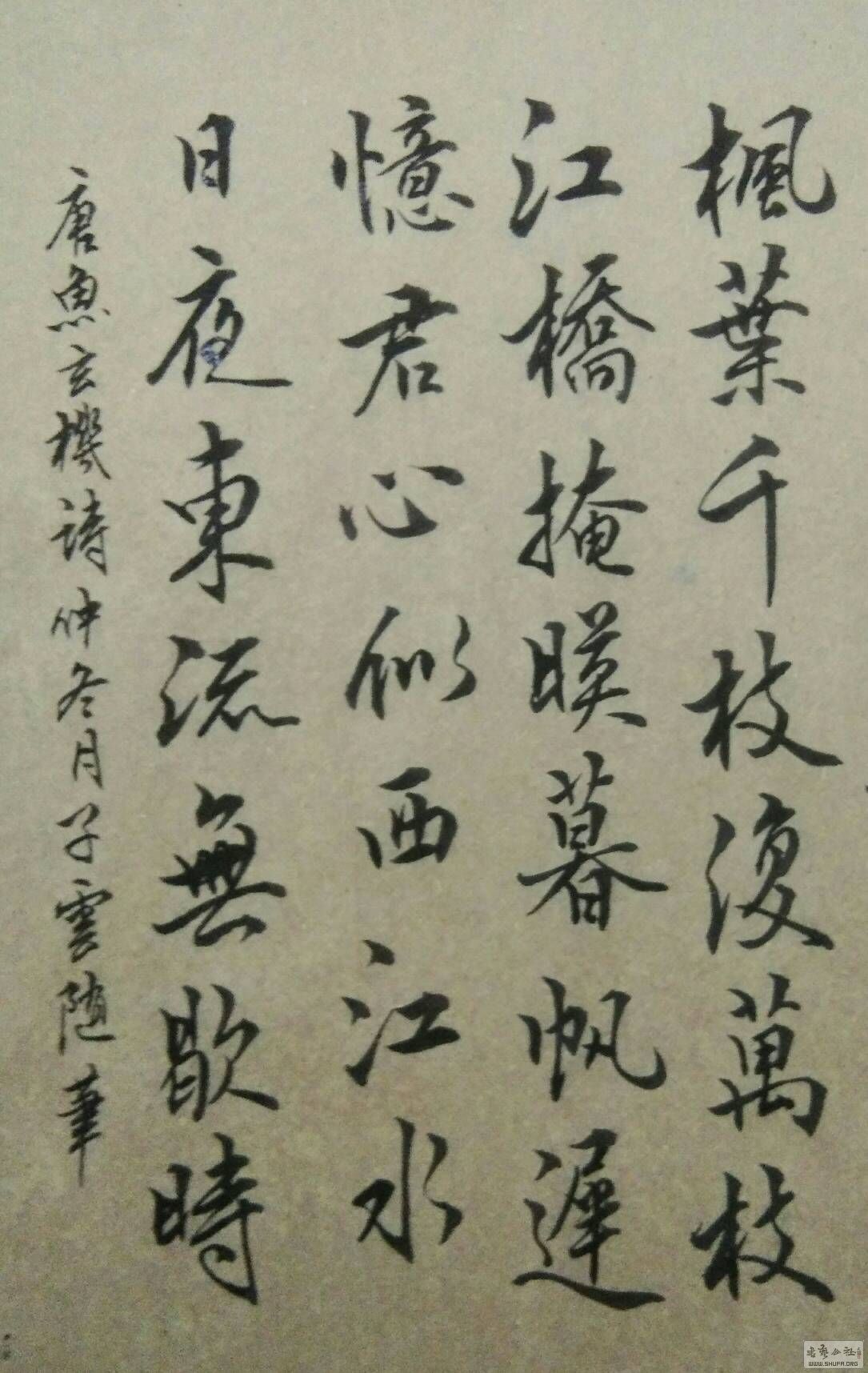 183305bckkjs2cg2mggrm4.JPG