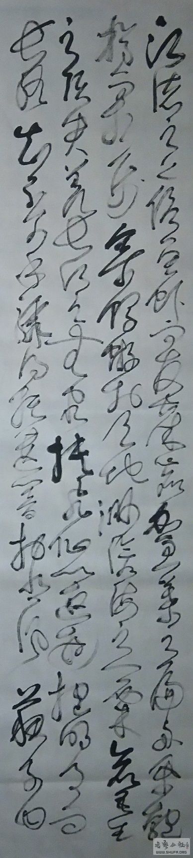 16122405.JPG