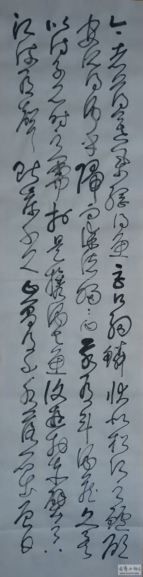 16122502.JPG