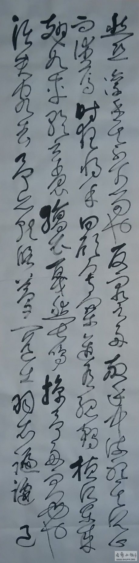 16122504.JPG