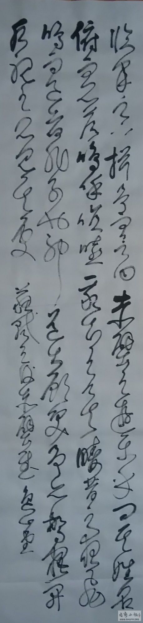 16122505.JPG